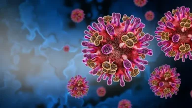 Virus Nipah: síntomas, riesgo de contagio y medidas de prevención