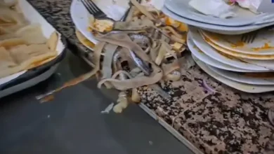 3 restaurantes de Riobamba clausurados por desaseo