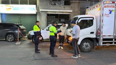 ANT consulta de multas por placa en Ecuador