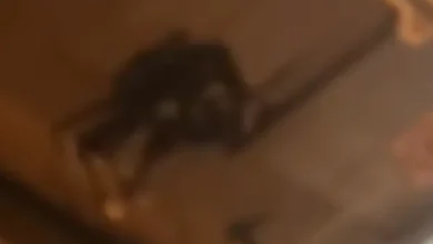 Video | Jóvenes protagonizaron una pelea en Riobamba