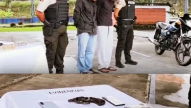 Sevilla Don Bosco: detenidos con arma de fuego y municiones.