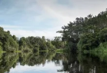 164 mil ha de humedales en Morona Santiago según EcoCiencia.