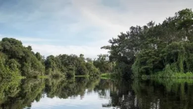 164 mil ha de humedales en Morona Santiago según EcoCiencia.