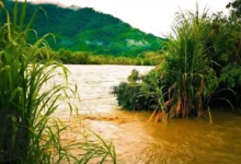 Bomberos advierten aumento del caudal de ríos en Gualaquiza.