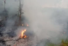Bomberos apagaron incendio forestal en Chambo