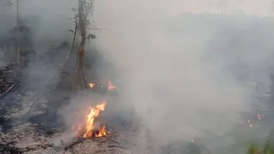 Bomberos apagaron incendio forestal en Chambo