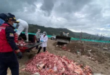 Camal clandestino de Chambo clausurado con 1.360 kg de carne