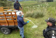 Decomisan 200 litros de leche con antibióticos en Guaranda.
