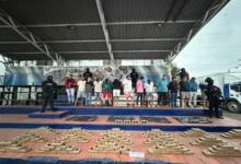 Operación Bremen deja 26 detenidos de la mafia albanesa y Los Lagartos