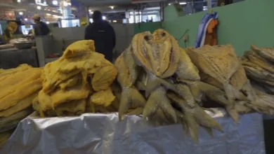 Pescado seco para la fanesca sube de precio en Latacunga.