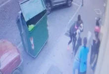 Pitbull atacó y mató en una frutería de Riobamba