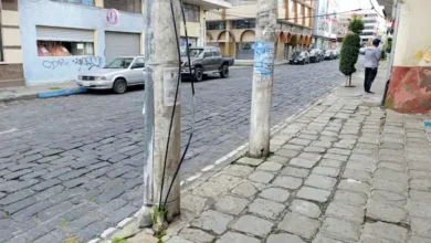 Los postes serán los lienzos.