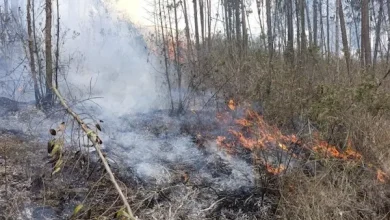 Incendio forestal en San Andrés afecta 1.600 m²