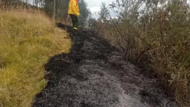 Incendio forestal en Chambo